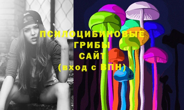 спайс Бородино