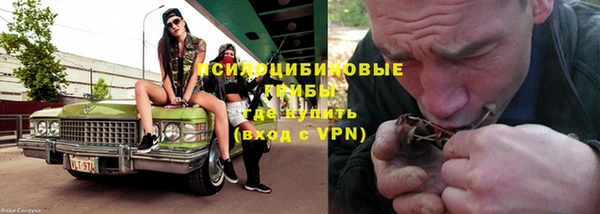 трава Бугульма